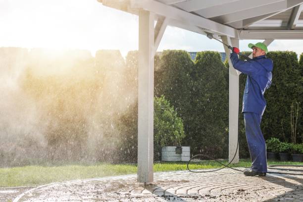 Boat and Dock Cleaning in Doctor Phillips, FL